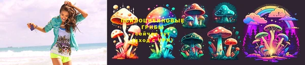 метадон Краснослободск