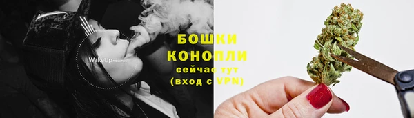 метадон Краснослободск