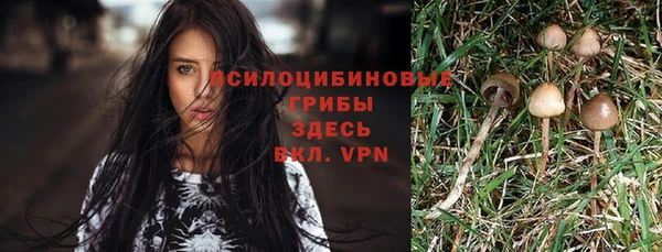 метадон Краснослободск